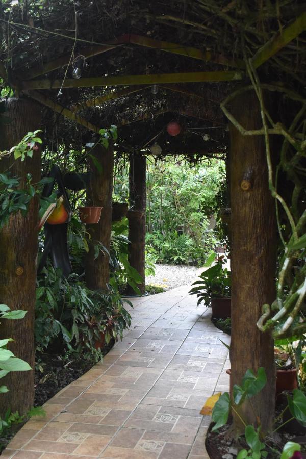 Hotel Roca Negra Del Arenal ラ・フォルトゥナ エクステリア 写真