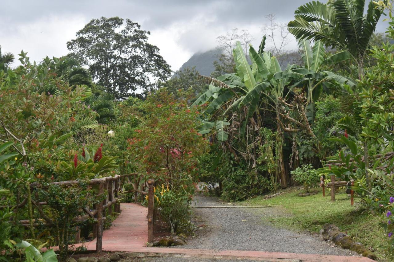 Hotel Roca Negra Del Arenal ラ・フォルトゥナ エクステリア 写真