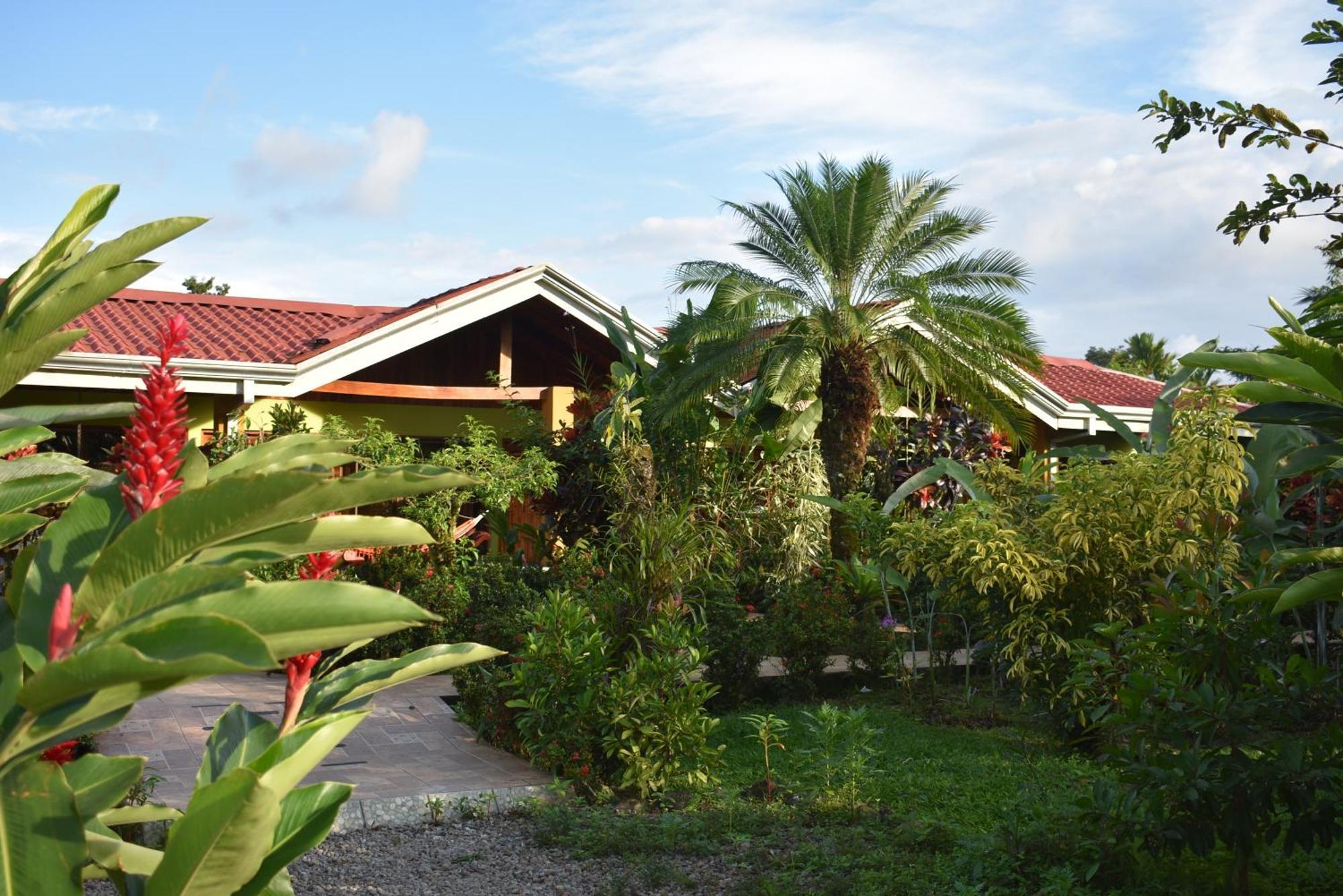 Hotel Roca Negra Del Arenal ラ・フォルトゥナ 部屋 写真