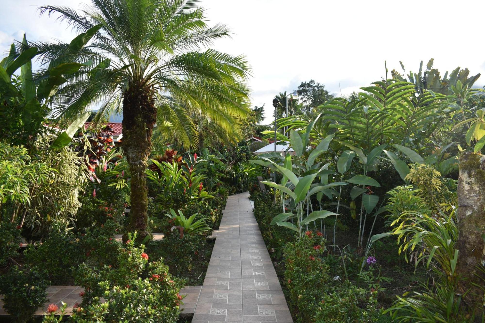 Hotel Roca Negra Del Arenal ラ・フォルトゥナ 部屋 写真