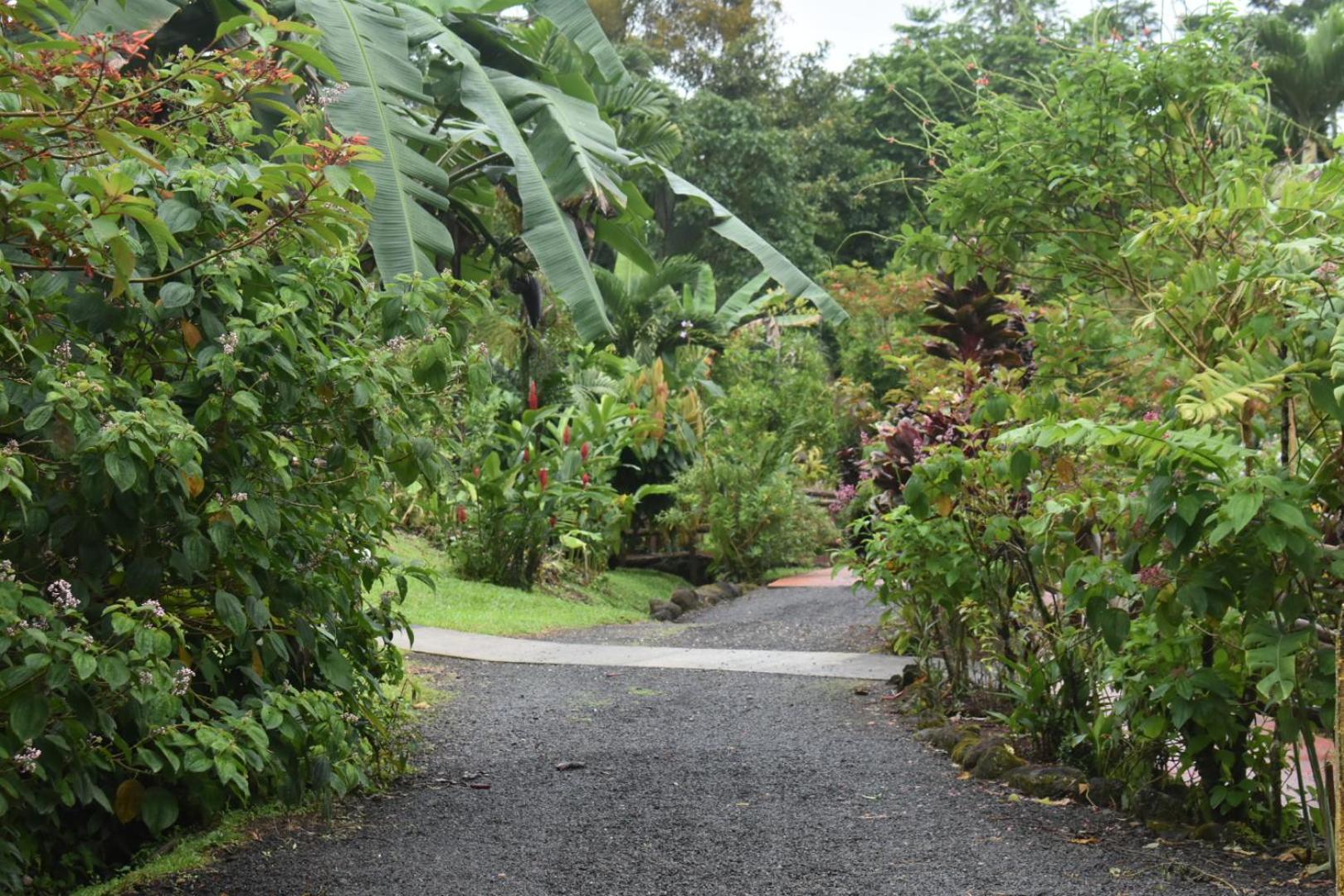 Hotel Roca Negra Del Arenal ラ・フォルトゥナ エクステリア 写真