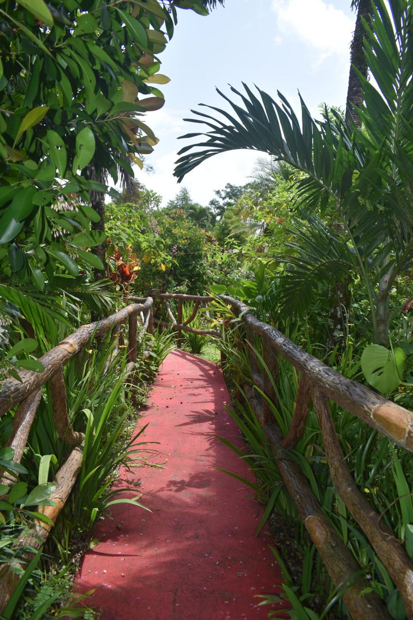 Hotel Roca Negra Del Arenal ラ・フォルトゥナ エクステリア 写真