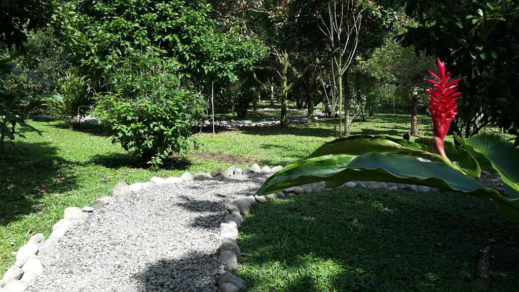 Hotel Roca Negra Del Arenal ラ・フォルトゥナ エクステリア 写真