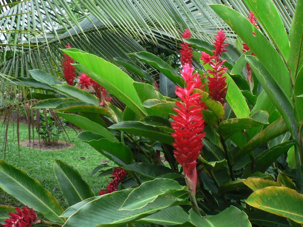 Hotel Roca Negra Del Arenal ラ・フォルトゥナ エクステリア 写真