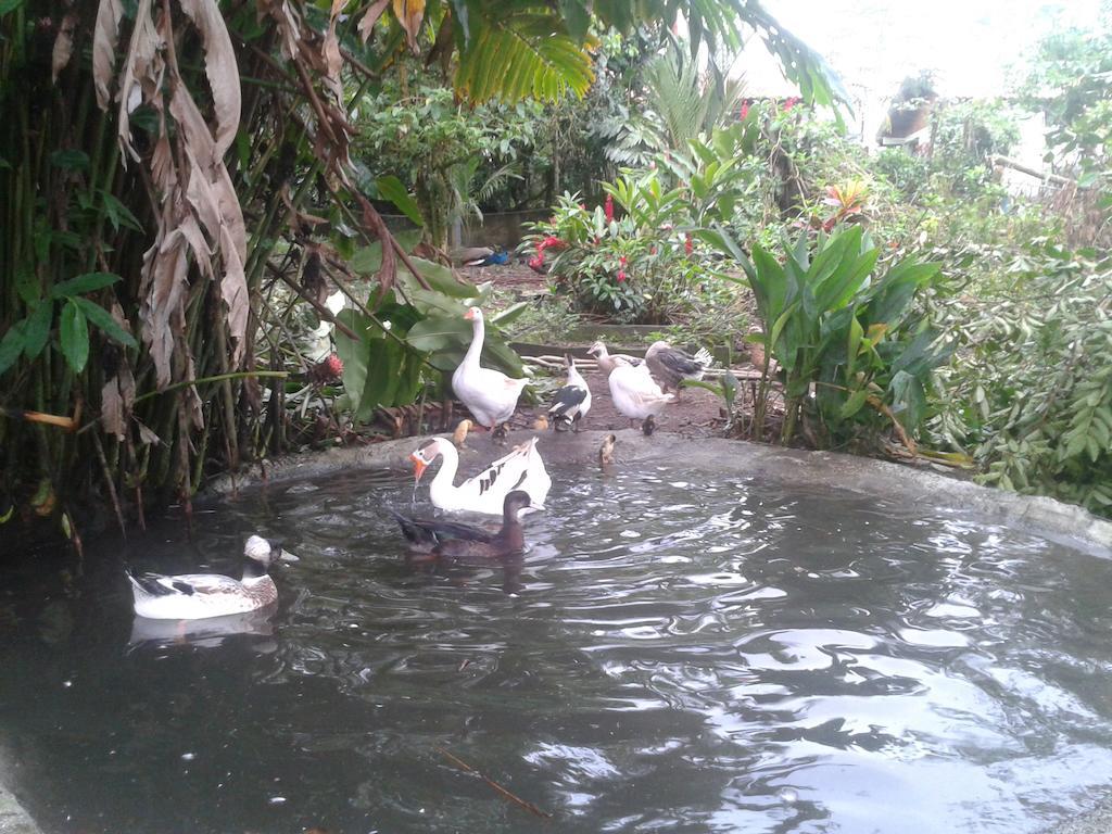 Hotel Roca Negra Del Arenal ラ・フォルトゥナ エクステリア 写真