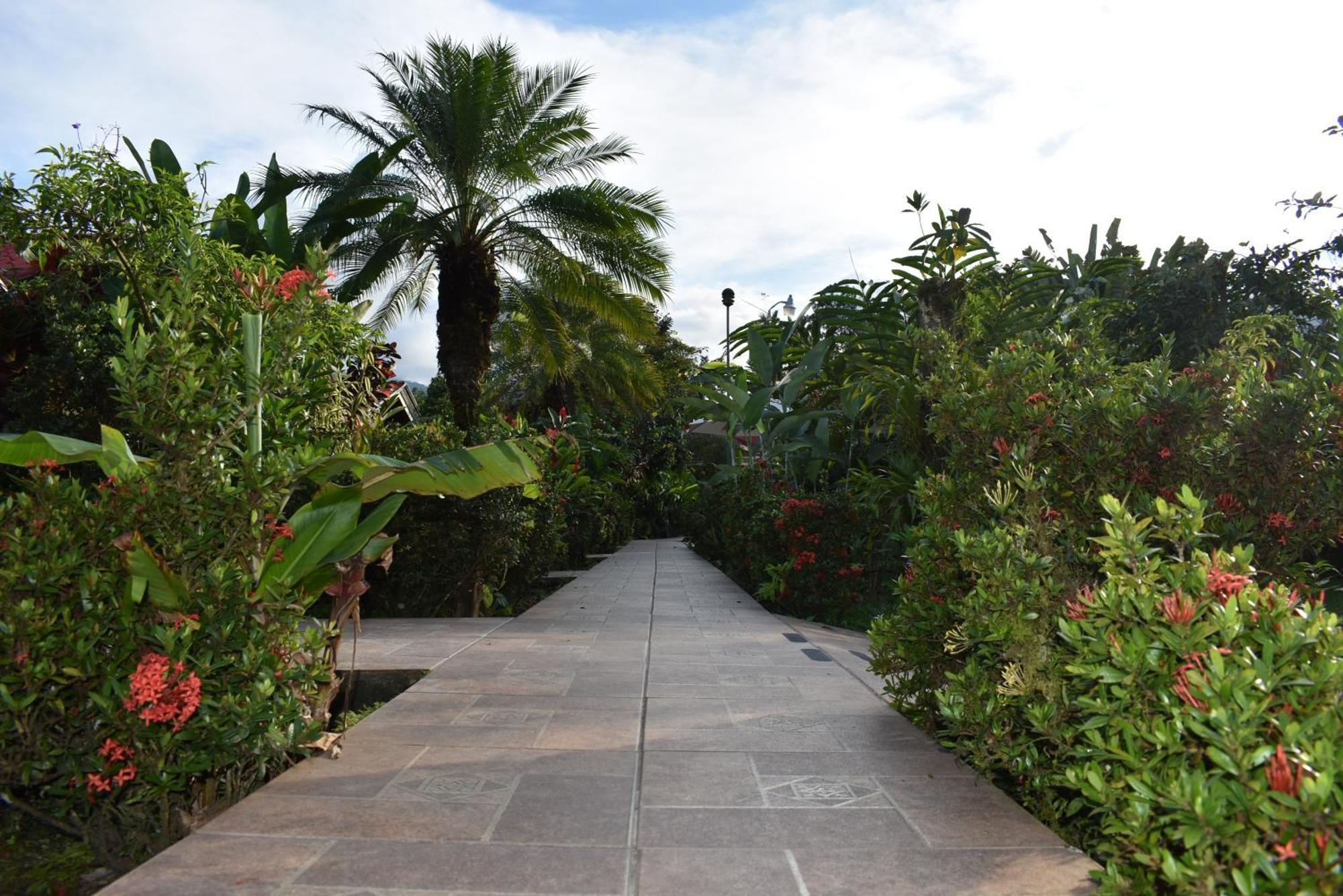 Hotel Roca Negra Del Arenal ラ・フォルトゥナ エクステリア 写真