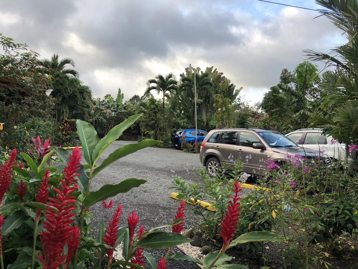 Hotel Roca Negra Del Arenal ラ・フォルトゥナ エクステリア 写真