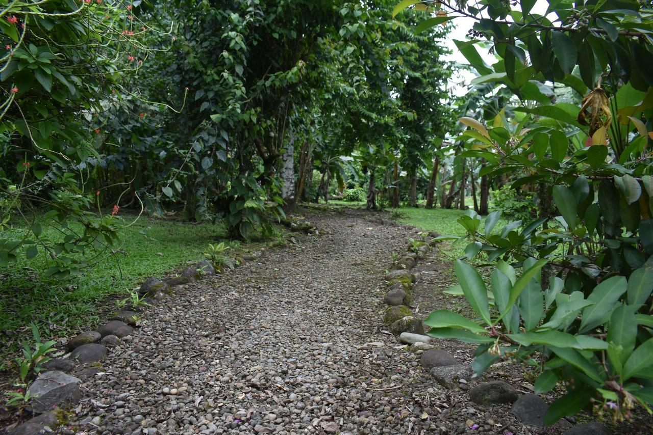 Hotel Roca Negra Del Arenal ラ・フォルトゥナ エクステリア 写真